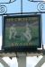 Picture of Cricketers