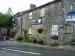 The White Lion