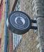 Picture of The Raven