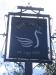 The Swan