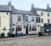 Picture of Golden Lion