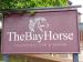 Bay Horse picture