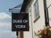 Picture of Duke of York