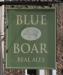 Picture of Blue Boar
