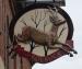 Picture of Roebuck