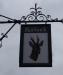 Picture of Roebuck
