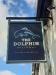 Picture of The Dolphin