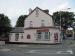Picture of The Golden Lion