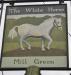 Picture of The White Horse