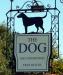 The Dog Inn picture