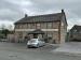 The Natterjack