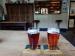 Picture of The Carew Arms