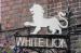 The White Lion picture