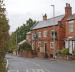 The White Lion