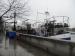 Picture of Tamesis Dock