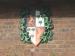 Picture of The Layfield Arms