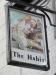 Picture of The Habit