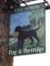 The Dog and Partridge picture