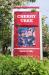 Picture of Cherry Tree