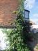 Picture of The White Hart