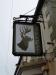 Picture of The Rum Fox