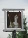 Picture of The Queens Head