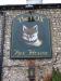 Picture of The Fox