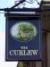 The Curlew picture