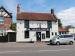 The Golden Lion picture