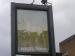 Picture of White Horse