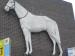 Picture of White Horse