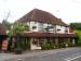 Picture of The Bluebell