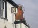 Picture of The Red Lion
