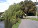 Picture of The Springhead
