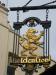 Picture of Golden Lion