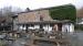 Picture of Lanty Slee's Langdale