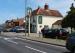 Picture of Yew Tree