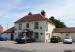 Picture of Yew Tree