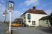 Yew Tree