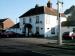 Picture of Yew Tree