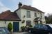 Yew Tree picture
