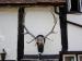 Picture of The Horns