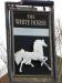 Picture of The White Horse