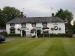 Picture of The White Horse