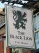 Picture of The Black Lion