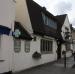 Picture of The Old Bear