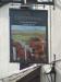 Picture of The Glyntwrog Inn