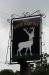 Picture of The White Hart Inn