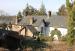 Picture of The White Hart Inn