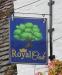 Picture of The Royal Oak